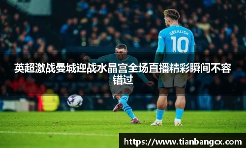 OETY官方网站入口